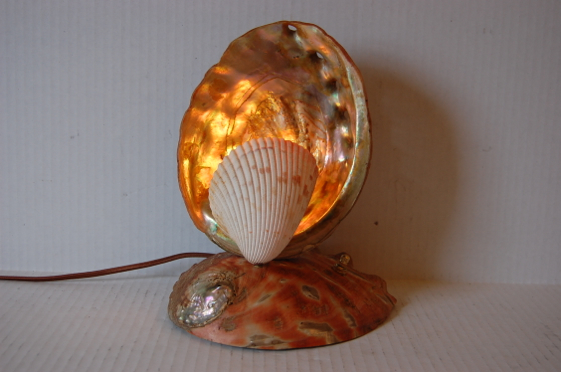 Vintage Folk Art Sea Shell Lamp Nautical Antique